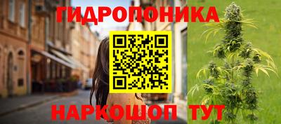 индика Севастополь