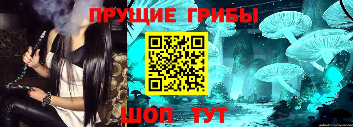 Галлюциногенные грибы прущие грибы  Вход с VPN  Галлюциногенные грибы Psilocybine cubensis  купить закладку  Осинники 